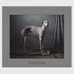 Martin Usborne - Kehrerverlag Heidelberg